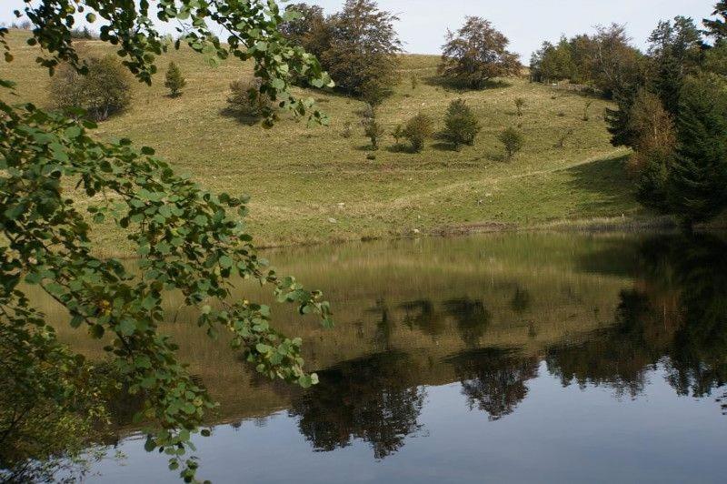 Gite De Famille Dans Les Vosges Saint-Maurice-sur-Moselle Kültér fotó