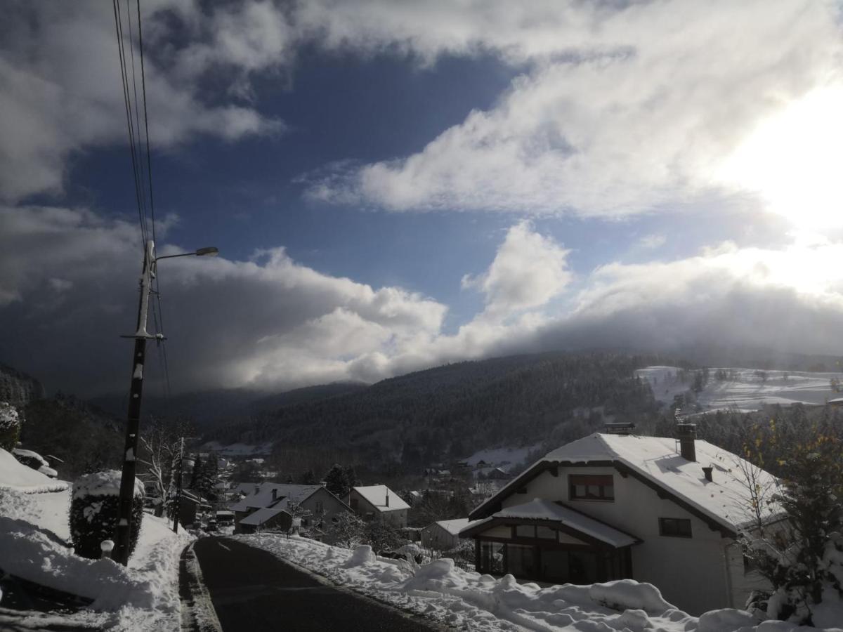 Gite De Famille Dans Les Vosges Saint-Maurice-sur-Moselle Kültér fotó