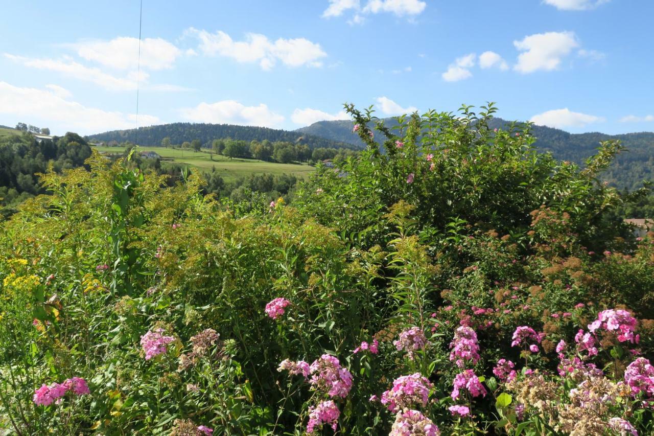 Gite De Famille Dans Les Vosges Saint-Maurice-sur-Moselle Kültér fotó