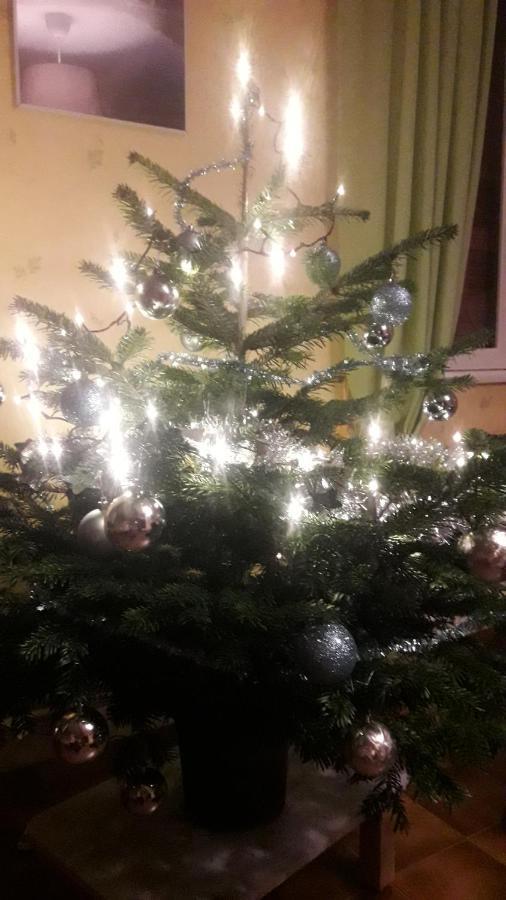 Gite De Famille Dans Les Vosges Saint-Maurice-sur-Moselle Kültér fotó